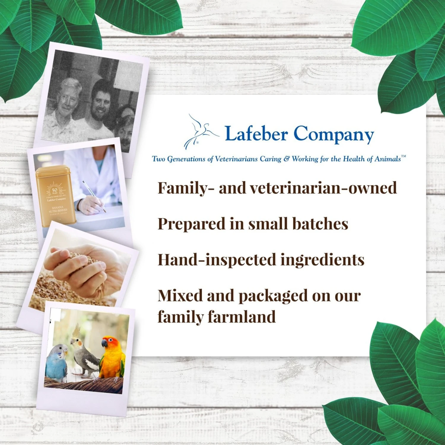 Lafeber Banana Nutri-Berries Small Bird Food, 7-oz Tin 8 Lafeber Banana Nutri-Berries Small Bird Food, 7-oz Tin - Image 6