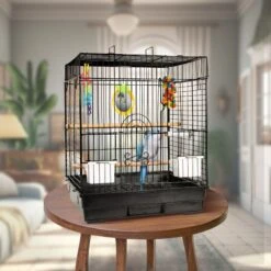 Caitec 448S Fun Kit Bird Cage, Black 8 Caitec 448S Fun Kit Bird Cage, Black -Sunny Decor Shop 797934 PT1. AC SS1800 V1680888368