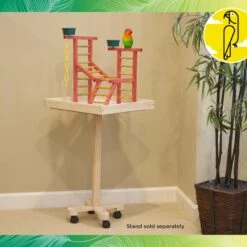 Caitec 18-in Bird Playland With Cups Bird Perch 12 Caitec 18-in Bird Playland With Cups Bird Perch -Sunny Decor Shop 801854 PT2. AC SS1800 V1695997304