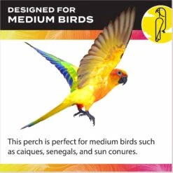 Caitec 24-in Playland With Cups Bird Perch -Sunny Decor Shop 801902 PT4. AC SS1800 V1696263427