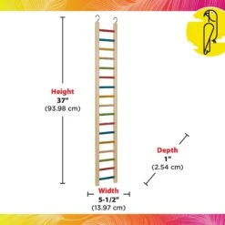 Caitec Cockatiel Ladder -Sunny Decor Shop 801958 PT2. AC SS1800 V1692280837
