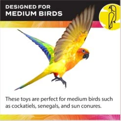 Caitec Cockatiel Ladder -Sunny Decor Shop 801958 PT3. AC SS1800 V1692283304