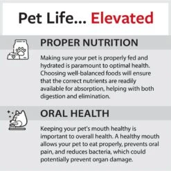 Caitec Cockatiel Ladder -Sunny Decor Shop 801958 PT8. AC SS1800 V1692282794