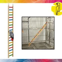 Caitec Parrot Ladder 12 Caitec Parrot Ladder -Sunny Decor Shop 802014 PT1. AC SS1800 V1693402577