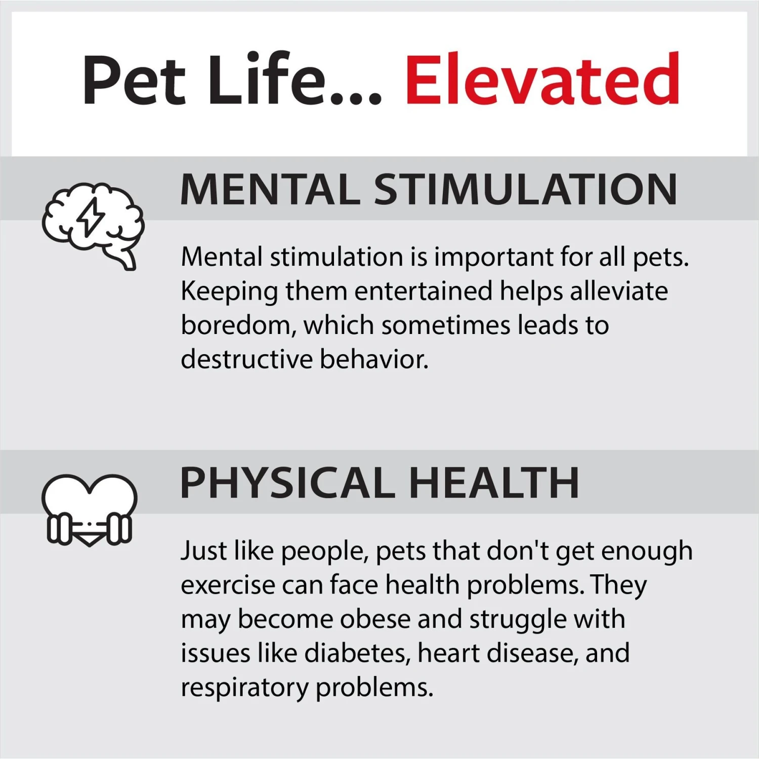 Caitec Parrot Ladder 9 Caitec Parrot Ladder - Image 7