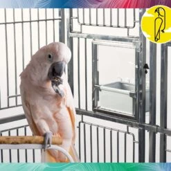 Caitec Exterior Bird Cage Accessory 11 Caitec Exterior Bird Cage Accessory -Sunny Decor Shop 802054 PT1. AC SS1800 V1695933733