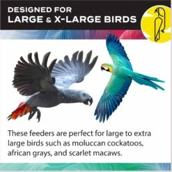 Caitec Exterior Bird Cage Accessory 14 Caitec Exterior Bird Cage Accessory -Sunny Decor Shop 802054 PT4. AC SS1800 V1696263987