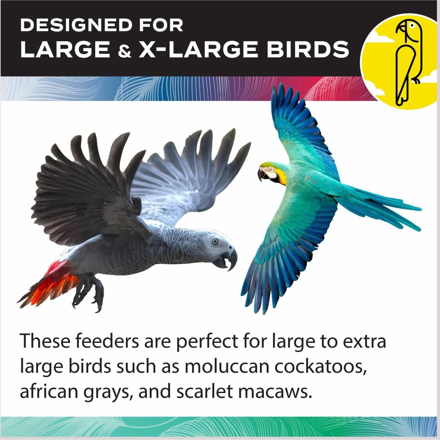 Caitec Exterior Bird Cage Accessory 7 Caitec Exterior Bird Cage Accessory - Image 5