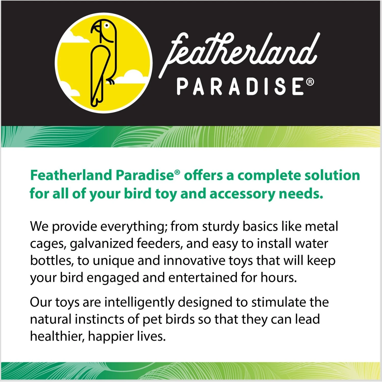 Caitec Plastic Cup With Stainless Hardware Bird Cage Accessory 9 Caitec Plastic Cup With Stainless Hardware Bird Cage Accessory - Image 7