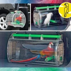 Caitec Perch 'N Go Bird Carrier 11 Caitec Perch 'N Go Bird Carrier -Sunny Decor Shop 802102 PT1. AC SS1800 V1692813766