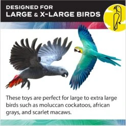 Caitec Perch 'N Go Bird Carrier 15 Caitec Perch 'N Go Bird Carrier -Sunny Decor Shop 802102 PT5. AC SS1800 V1692817213