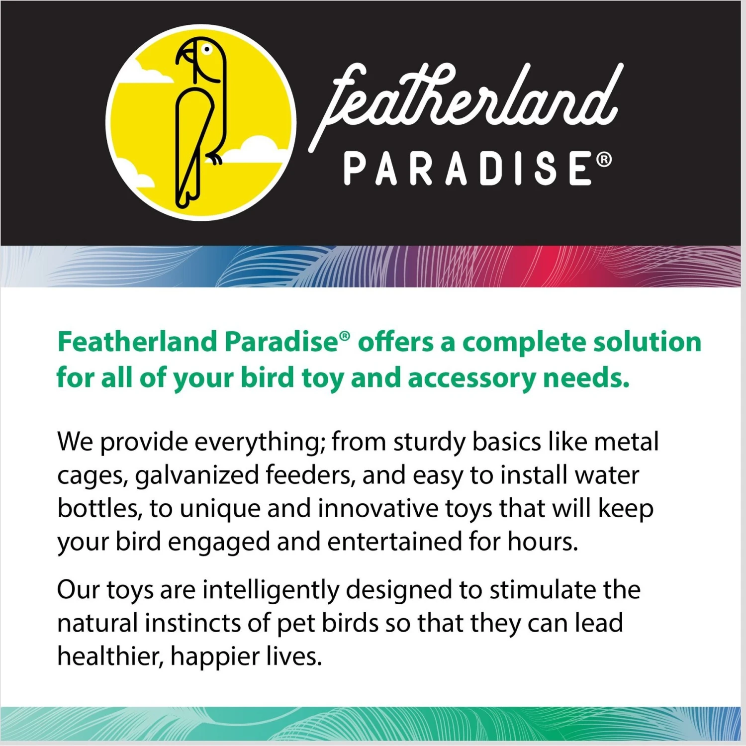 Caitec Perch 'N Go Bird Carrier 10 Caitec Perch 'N Go Bird Carrier - Image 8