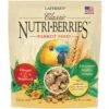 Lafeber Classic Parrot Nutri-Berries Bird Food, 1-oz Bag -Sunny Decor Shop 806534 MAIN. AC SS1800 V1680276895