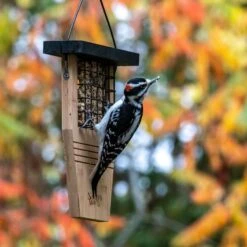 Natures Way Bird Products Suet Tail Prop Bird Feeder -Sunny Decor Shop 817630 PT1. AC SS1800 V1681500998