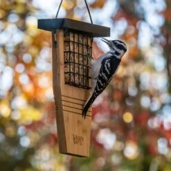 Natures Way Bird Products Suet Tail Prop Bird Feeder -Sunny Decor Shop 817630 PT3. AC SS1800 V1681501668