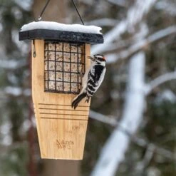 Natures Way Bird Products Suet Tail Prop Bird Feeder -Sunny Decor Shop 817630 PT4. AC SS1800 V1681501679