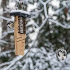 Natures Way Bird Products Suet Tail Prop Bird Feeder -Sunny Decor Shop 817630 PT5. AC SS1800 V1681501608