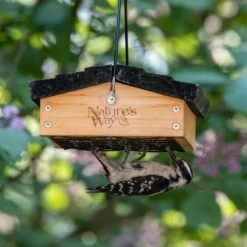 Natures Way Bird Products Suet Upside-Down Bird Feeder -Sunny Decor Shop 817646 PT1. AC SS1800 V1681502434
