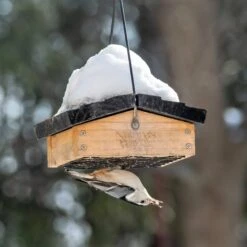 Natures Way Bird Products Suet Upside-Down Bird Feeder -Sunny Decor Shop 817646 PT2. AC SS1800 V1681500993