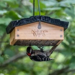 Natures Way Bird Products Suet Upside-Down Bird Feeder -Sunny Decor Shop 817646 PT3. AC SS1800 V1681502191