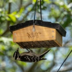 Natures Way Bird Products Suet Upside-Down Bird Feeder -Sunny Decor Shop 817646 PT4. AC SS1800 V1681502271