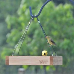 Natures Way Bird Products Tray Bird Feeder -Sunny Decor Shop 817702 PT2. AC SS1800 V1681502518