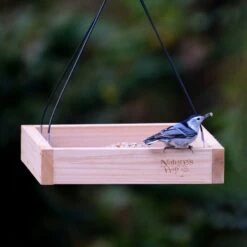 Natures Way Bird Products Tray Bird Feeder -Sunny Decor Shop 817702 PT3. AC SS1800 V1681500925