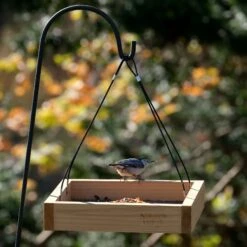 Natures Way Bird Products Tray Bird Feeder -Sunny Decor Shop 817702 PT4. AC SS1800 V1681501609
