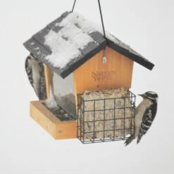 Natures Way Bird Products Hopper Bird Feeder With Suet 12 Natures Way Bird Products Hopper Bird Feeder With Suet -Sunny Decor Shop 817758 PT2. AC SS1800 V1681502516