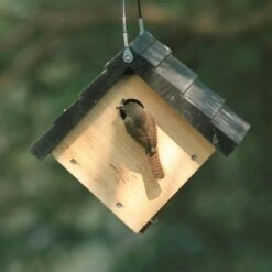 Natures Way Bird Products Wren Traditional Hanging Bird House, Cedar -Sunny Decor Shop 817790 PT2. AC SS1800 V1681501613
