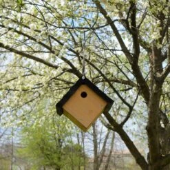 Natures Way Bird Products Wren Traditional Hanging Bird House, Cedar -Sunny Decor Shop 817790 PT3. AC SS1800 V1681500923