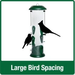 Natures Way Bird Products Wide Easy Clean Bird Feeder, Green, 2.8-qt -Sunny Decor Shop 818054 PT4. AC SS1800 V1681743685