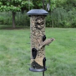 Natures Way Bird Products Wide Easy Clean Decorative Bird Feeder, Black, 2.8-qt -Sunny Decor Shop 818070 PT1. AC SS1800 V1681739727