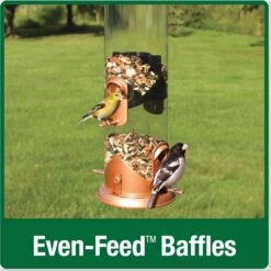 Natures Way Bird Products Wide Deluxe Easy Clean Bird Feeder, Copper, 1.5-qt 13 Natures Way Bird Products Wide Deluxe Easy Clean Bird Feeder, Copper, 1.5-qt -Sunny Decor Shop 818102 PT5. AC SS1800 V1681743670