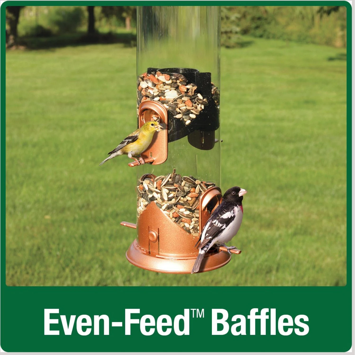 Natures Way Bird Products Wide Deluxe Easy Clean Bird Feeder, Copper, 1.5-qt 8 Natures Way Bird Products Wide Deluxe Easy Clean Bird Feeder, Copper, 1.5-qt - Image 6