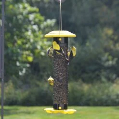 Natures Way Bird Products Funnel Flip Mesh Finch Feeder, Yellow, 1.5-qt 10 Natures Way Bird Products Funnel Flip Mesh Finch Feeder, Yellow, 1.5-qt -Sunny Decor Shop 818166 PT1. AC SS1800 V1681743896