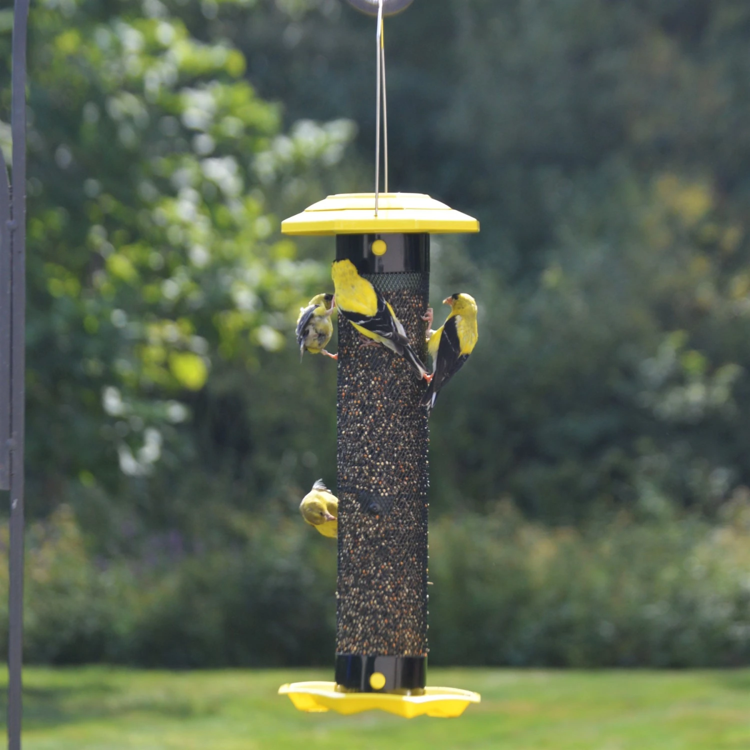 Natures Way Bird Products Funnel Flip Mesh Finch Feeder, Yellow, 1.5-qt 4 Natures Way Bird Products Funnel Flip Mesh Finch Feeder, Yellow, 1.5-qt - Image 2