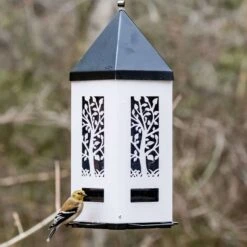 Natures Way Bird Products Squirrel Shield Lantern Bird Feeder, White, 2-qt -Sunny Decor Shop 818262 PT1. AC SS1800 V1681739816