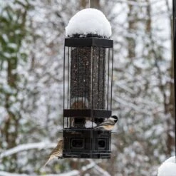 Natures Way Bird Products Squirrel Sheild Advantage Cage Bird Feeder, Black, 3.2-qt -Sunny Decor Shop 818318 PT2. AC SS1800 V1681739705