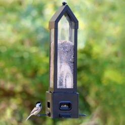 Natures Way Bird Products Squirell Sheild Choice Lantern Bird Feeder, Black, 3.2-qt -Sunny Decor Shop 818334 PT1. AC SS1800 V1681739794