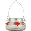 Natures Way Bird Products Mason Jar Humming Bird Feeder, Clear, 6-oz -Sunny Decor Shop 818350 MAIN. AC SS1800 V1681509687