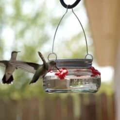 Natures Way Bird Products Mason Jar Humming Bird Feeder, Clear, 6-oz -Sunny Decor Shop 818350 PT1. AC SS1800 V1681509702