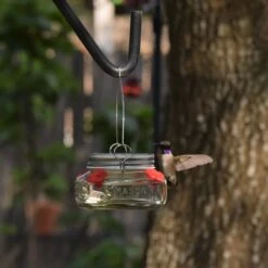 Natures Way Bird Products Mason Jar Humming Bird Feeder, Clear, 6-oz -Sunny Decor Shop 818350 PT2. AC SS1800 V1681739684