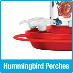 Natures Way Bird Products Vintage Blossom Decorative Glass Hummingbird Feeder, Red, 20-oz 15 Natures Way Bird Products Vintage Blossom Decorative Glass Hummingbird Feeder, Red, 20-oz -Sunny Decor Shop 818414 PT6. AC SS1800 V1681502195
