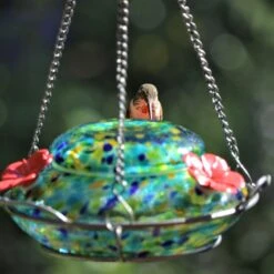Natures Way Bird Products Illuminated Top Fill Bird Feeder, Multiple Colors, 16-oz -Sunny Decor Shop 818446 PT1. AC SS1800 V1681739808