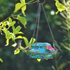 Natures Way Bird Products Illuminated Top Fill Bird Feeder, Multiple Colors, 16-oz -Sunny Decor Shop 818446 PT2. AC SS1800 V1681738089