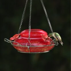 Natures Way Bird Products Garden Top Fill Bird Feeder, 16-oz -Sunny Decor Shop 818478 PT1. AC SS1800 V1681739701