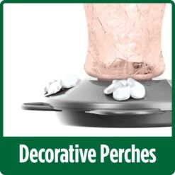 Natures Way Bird Products Artisan Gravity Hummingbird Feeder, Pink, 16-oz -Sunny Decor Shop 818494 PT4. AC SS1800 V1681502245