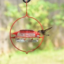 Natures Way Bird Products Decorative Glass Top-Fill Hummingbird Feeder, 13-oz -Sunny Decor Shop 818534 PT1. AC SS1800 V1681738224