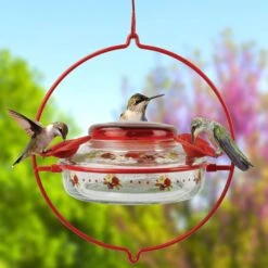 Natures Way Bird Products Decorative Glass Top-Fill Hummingbird Feeder, 13-oz -Sunny Decor Shop 818534 PT2. AC SS1800 V1681739679